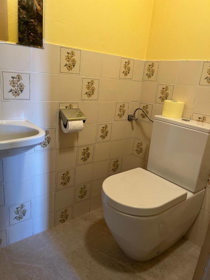 Bauernhof Lehengut Villa Pfarrwerfen Eksteriør billede